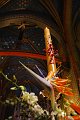 Triduum-2012 (56)